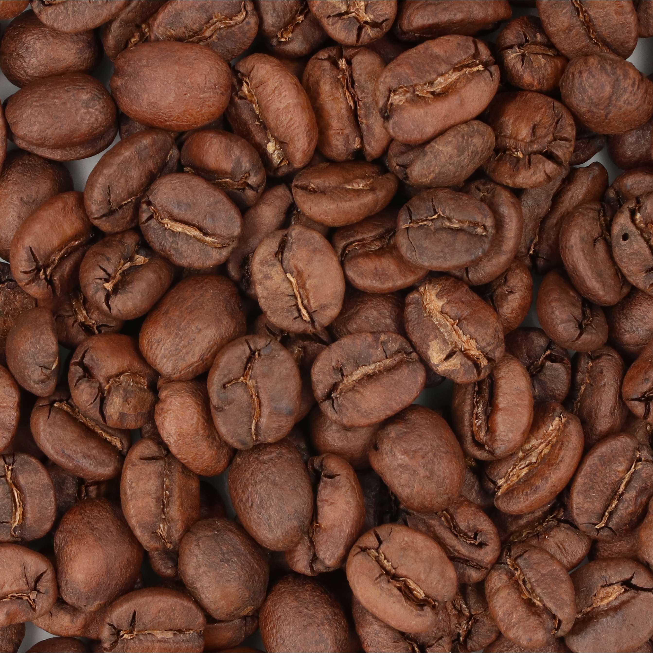 京の珈琲豆処 &' coffee パナマ ゲイシャ ブレンドをレビュー