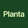 Planta Planta 1