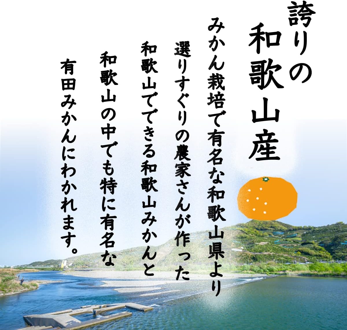 和歌山みかん 訳あり 2