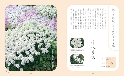 神秘的で美しい花図鑑 4