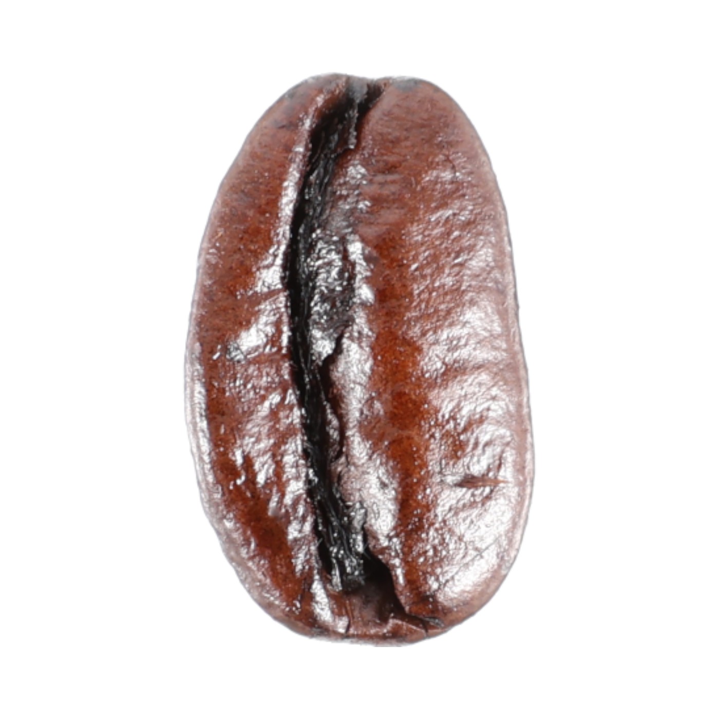 澤井珈琲 コーヒー豆【ビクトリーブレンド】500g 豆のまま ×20個 Amazon | 澤井珈琲 コーヒー 専門店 ビクトリーブレンド 500g 【豆の