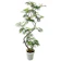 MAKIMO PLANT エバーフレッシュ 1