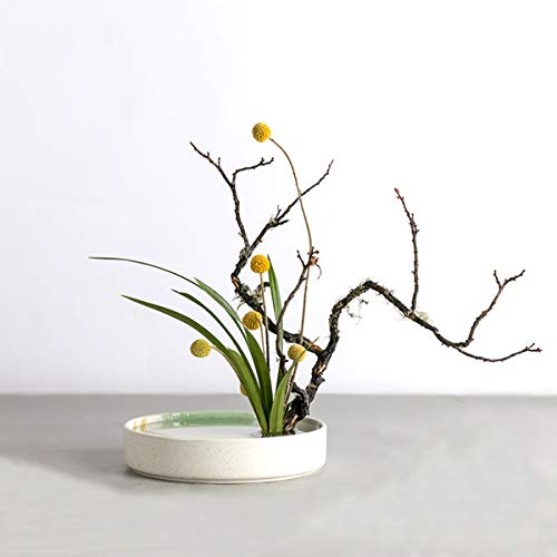 22年 生け花用フラワーベースのおすすめ人気ランキング19選 Mybest