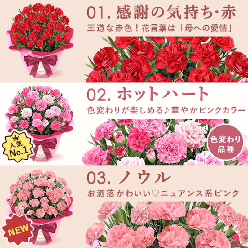 カーネーション鉢植え スイーツセット 3