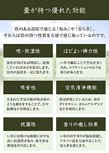 色葉 2