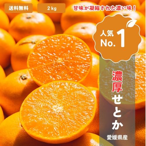 みかんの通販・お取り寄せのおすすめ人気ランキング【2026年6月】 2