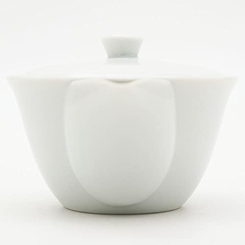 宝瓶 白磁 陶網 美濃焼 茶器 急須 4