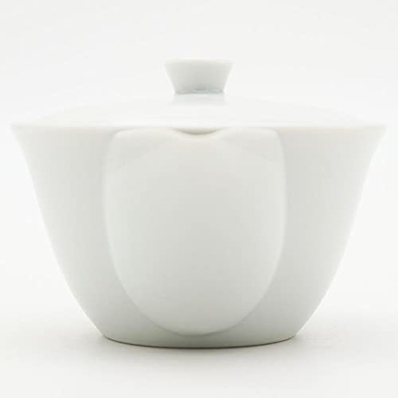宝瓶 白磁 陶網 美濃焼 茶器 急須 4