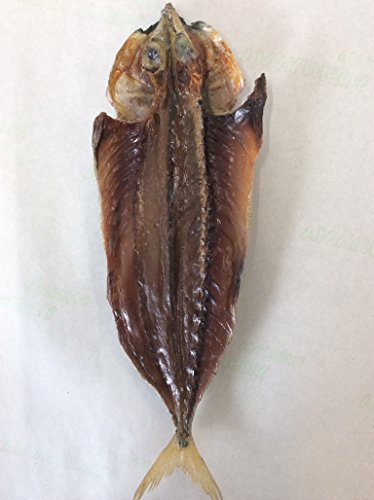 新島 生くさや 1