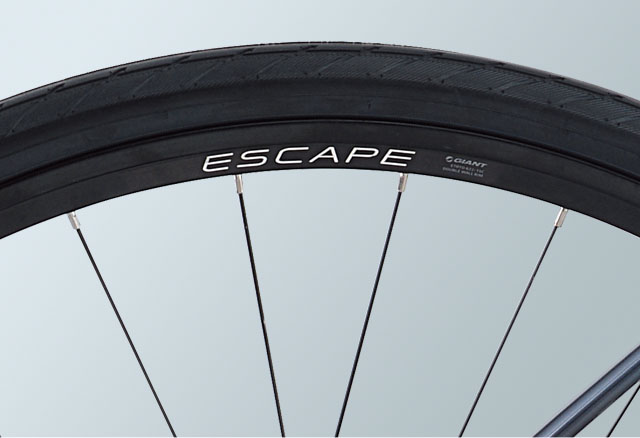 ESCAPE R DISC 9