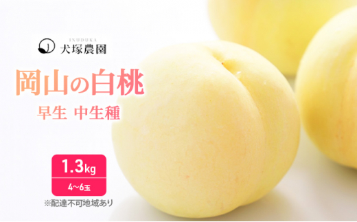 岡山の白桃 早生 中生種 1