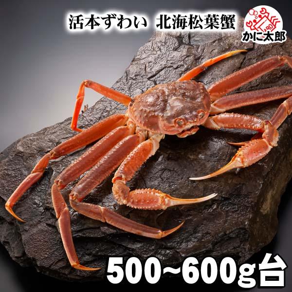 ズワイガニ 1