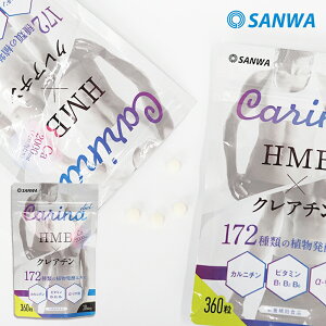 カリーナダイエット 1