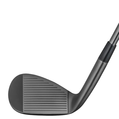 FR-3 ウェッジ 2