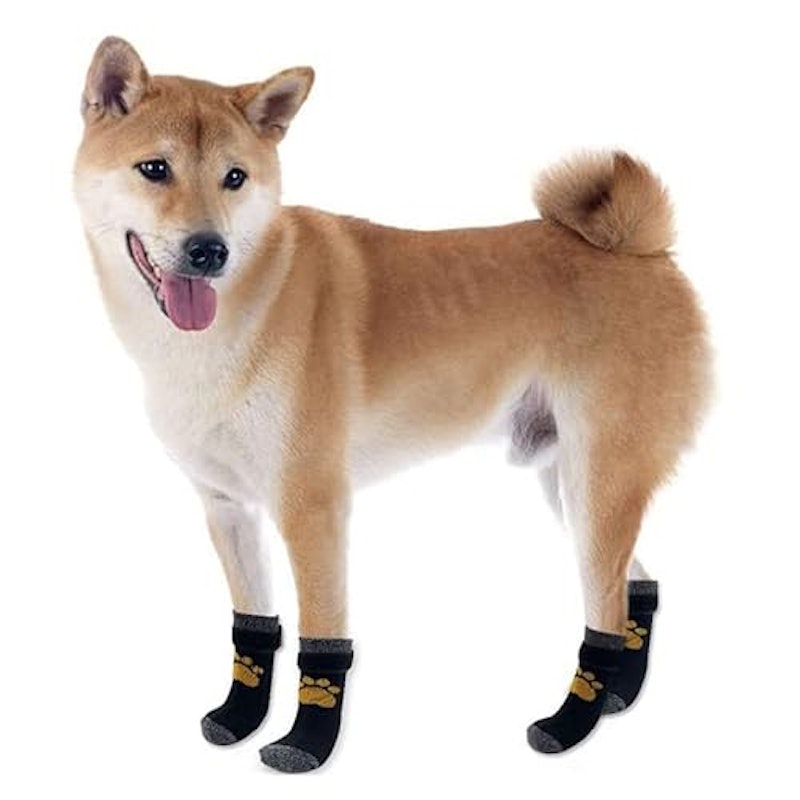 ペット用靴下 6