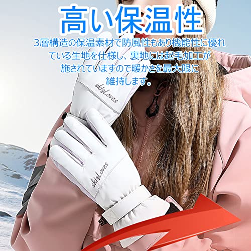 スキーグローブ 5