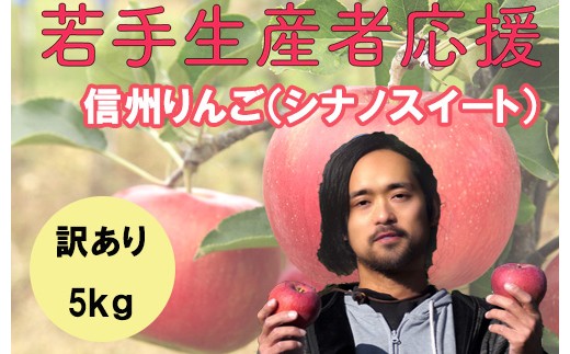 りんご  シナノスイート  訳あり 1