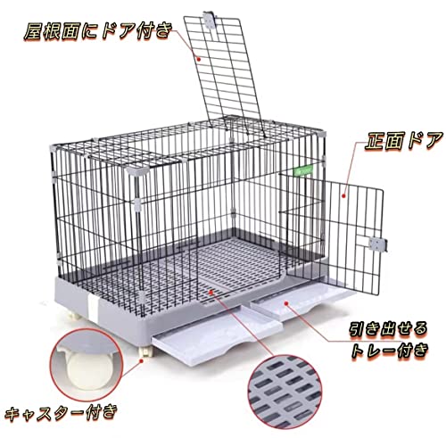 ハリネズミ用ケージのおすすめ人気ランキング【2025年11月】 | マイベスト