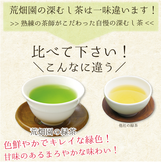 がぶがぶ飲める深むしティーパック 2