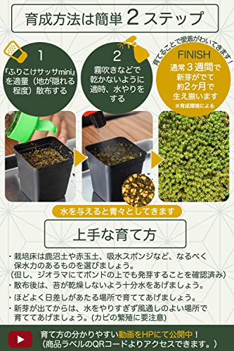 ふりこけサッサmini 6