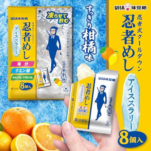 アイススラリー すっきり柑橘味 2