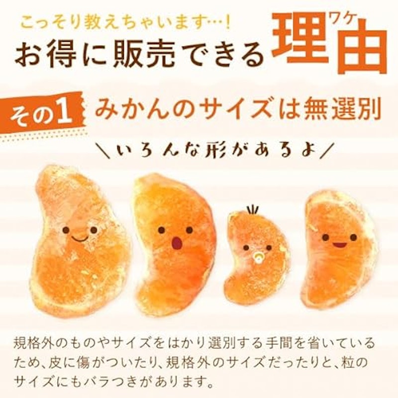 冷凍みかん 500g 5