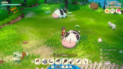 牧場物語 Let’s！風のグランドバザール 2