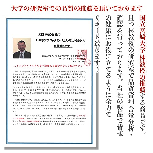 トリポワブロック 2