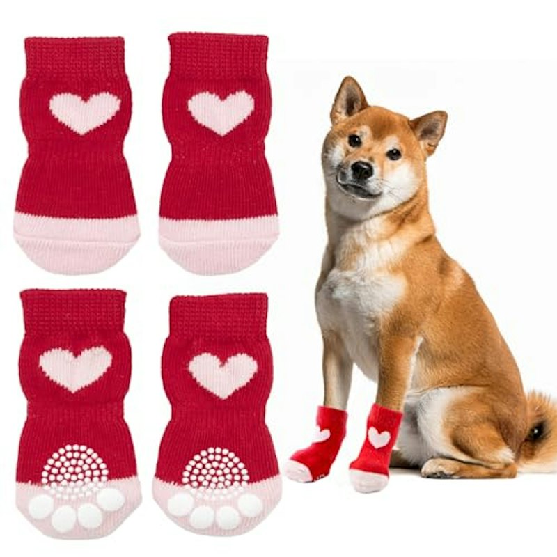 犬 靴下 1