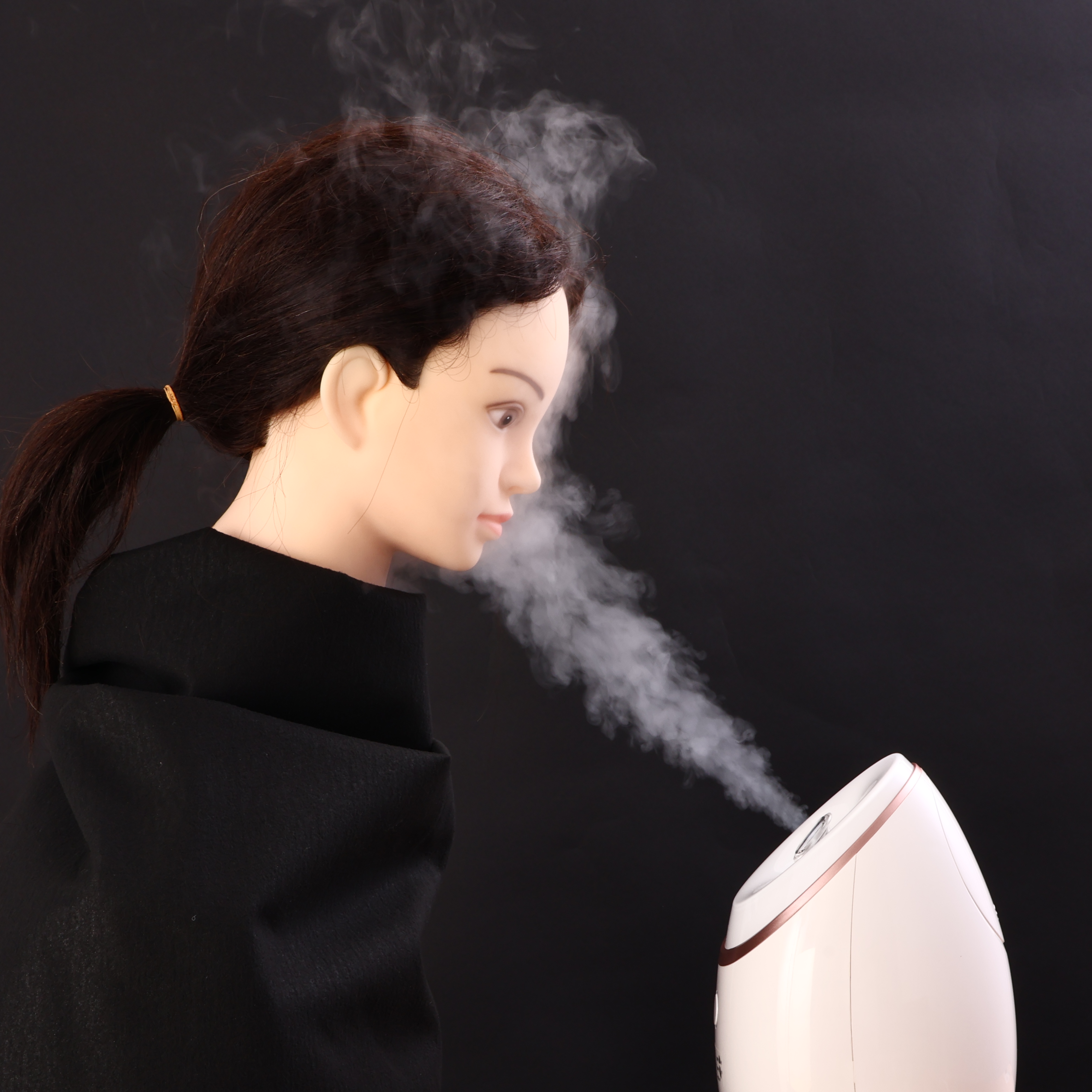 日本ゼネラル・アプラィアンス REVLON フェイシャルビューティー