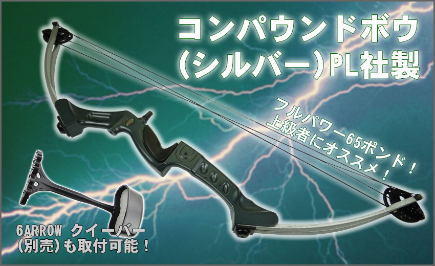 チェーサーTWIN LIMB 2