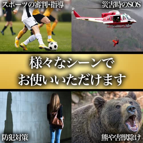 電子ホイッスル 9