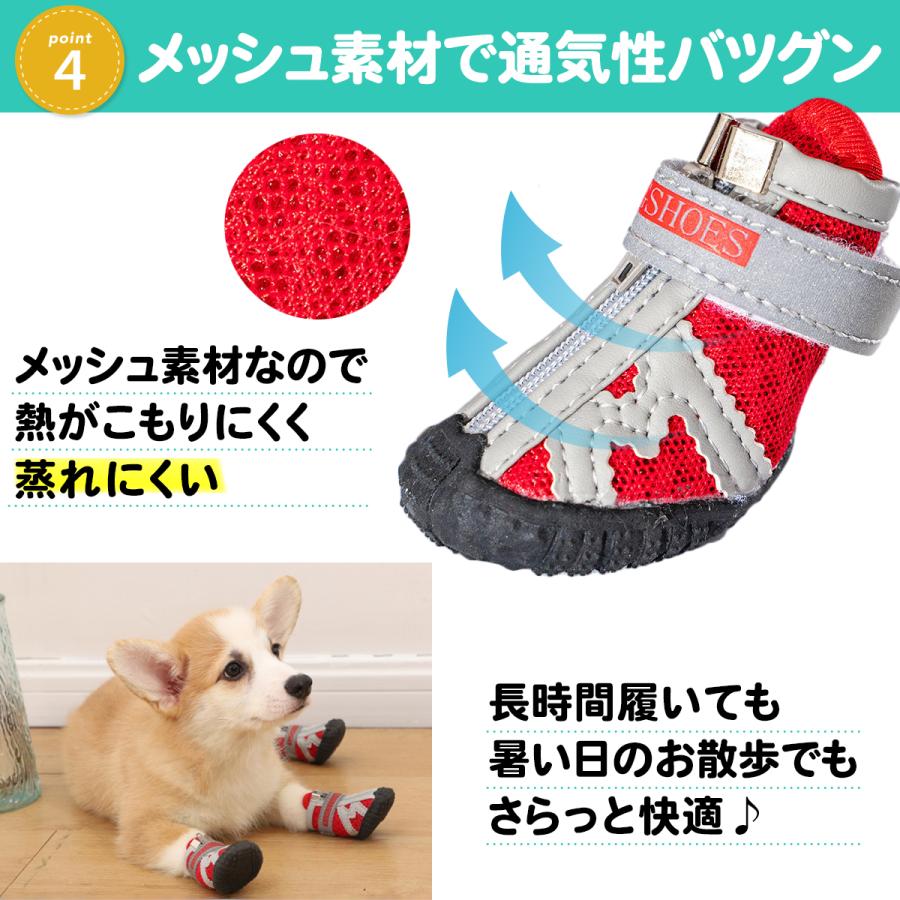 ドッグシューズ 5