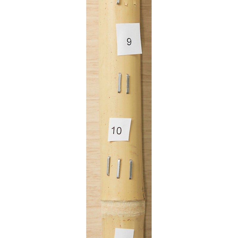 タッカー 7