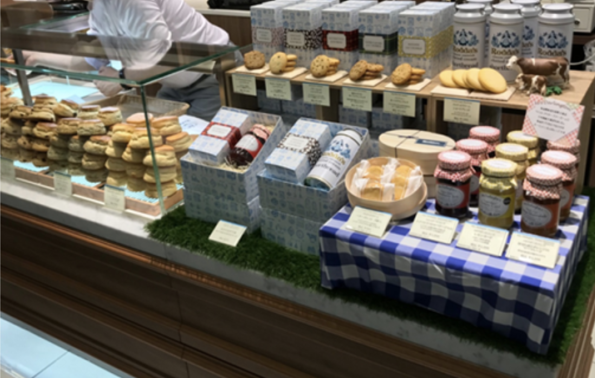 Rodda’s 1