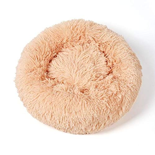 22年 犬用ベッドのおすすめ人気ランキング18選 Mybest