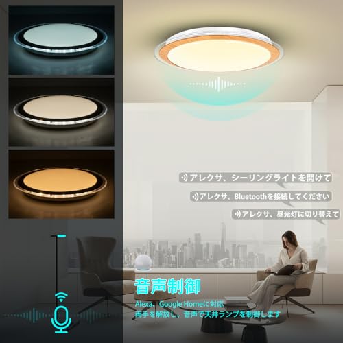 202020年8月購入スピーカー付きシーリングライト 11a25b83e8b73610557c12f2bd27eb