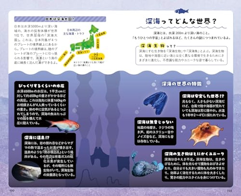 出会った魚がわかる図鑑 9