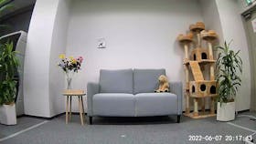 塚本無線 みてるちゃんをレビュー!クチコミ・評判をもとに徹底検証 2