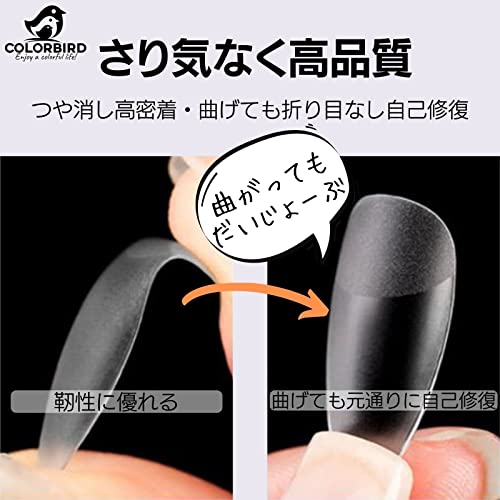 COLORBIRD ネイルチップ 2