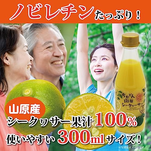 ちむどん 山原シークヮーサー 9