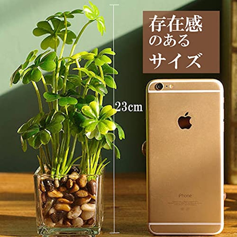 フェイクグリーン 5