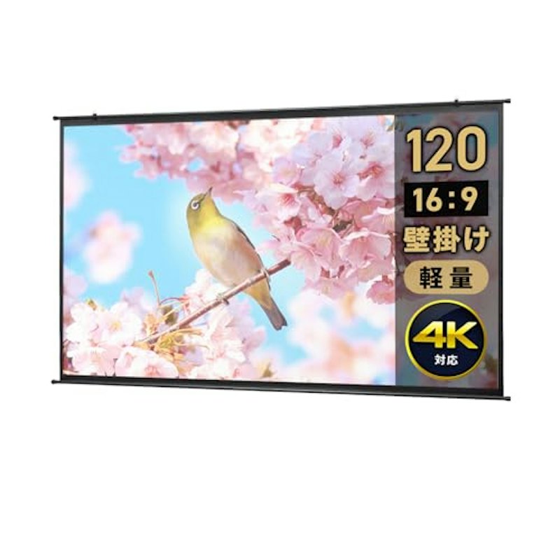 プロジェクタースクリーン 1