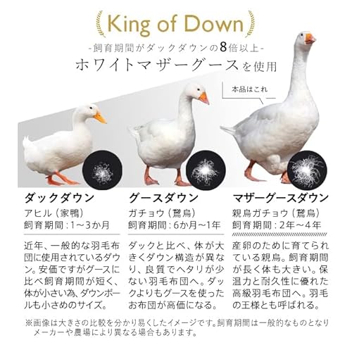 羽毛布団 3