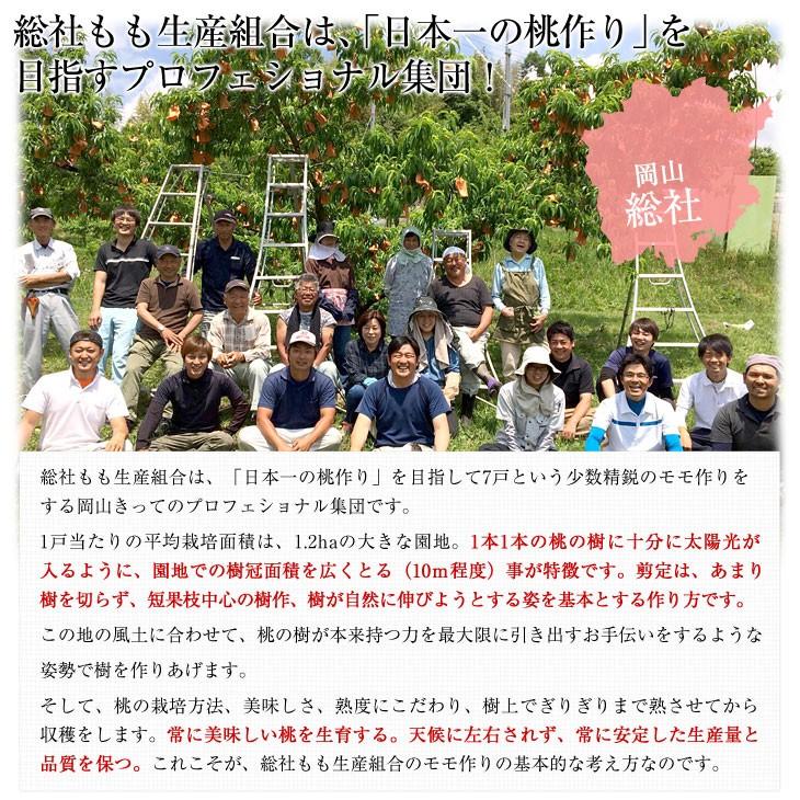 岡山白桃 4