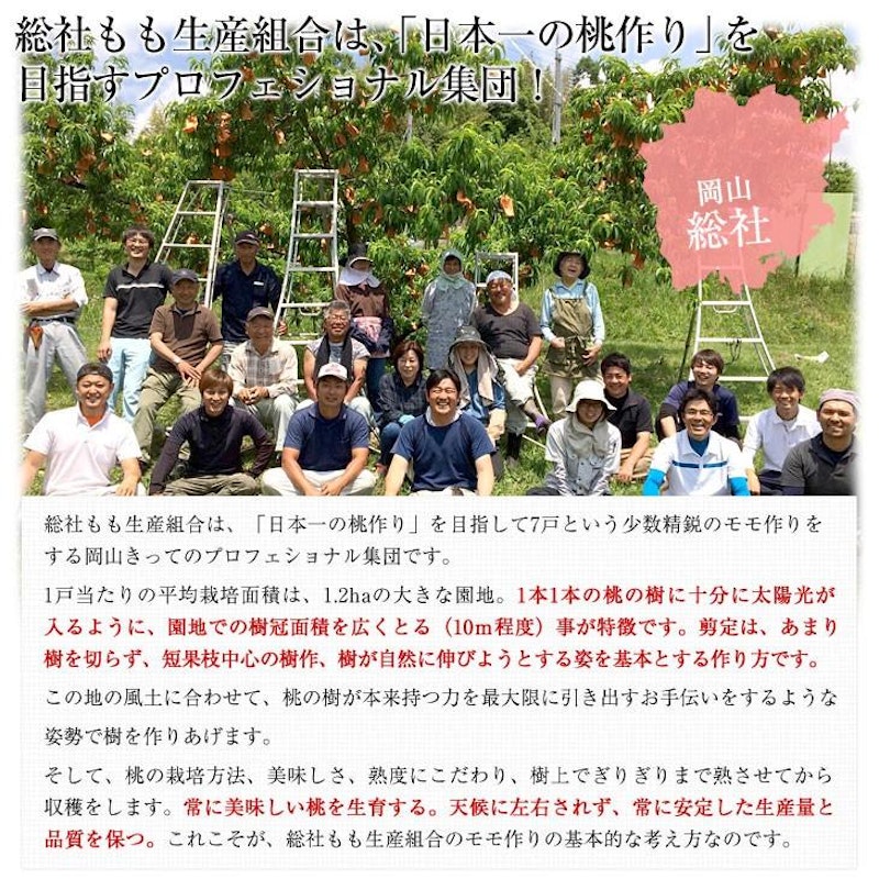 岡山白桃 4