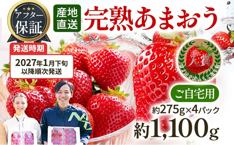 あまおう 1