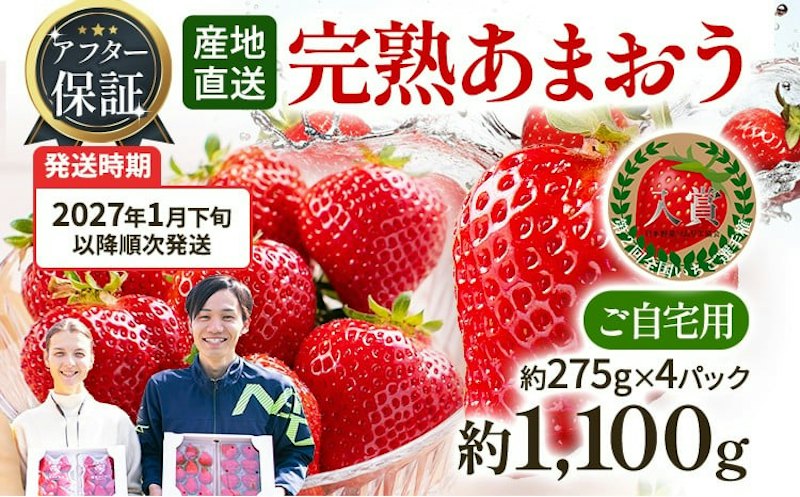 あまおう 1