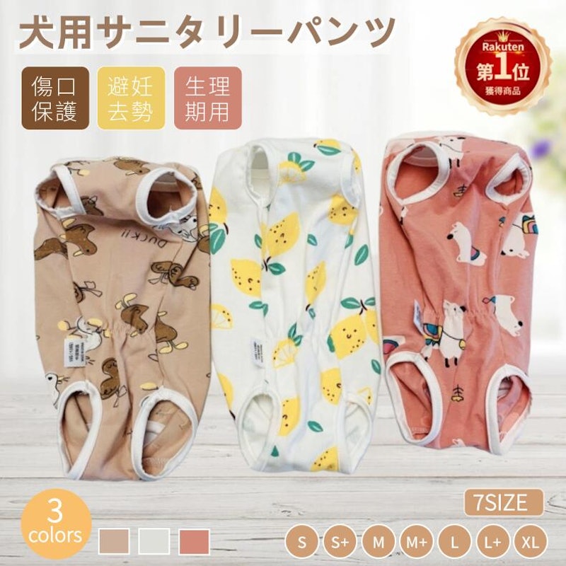 サニタリーパンツ 1