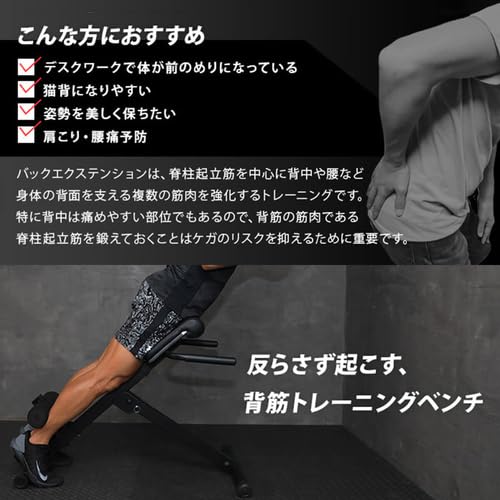 バックエクステンションベンチ 2
